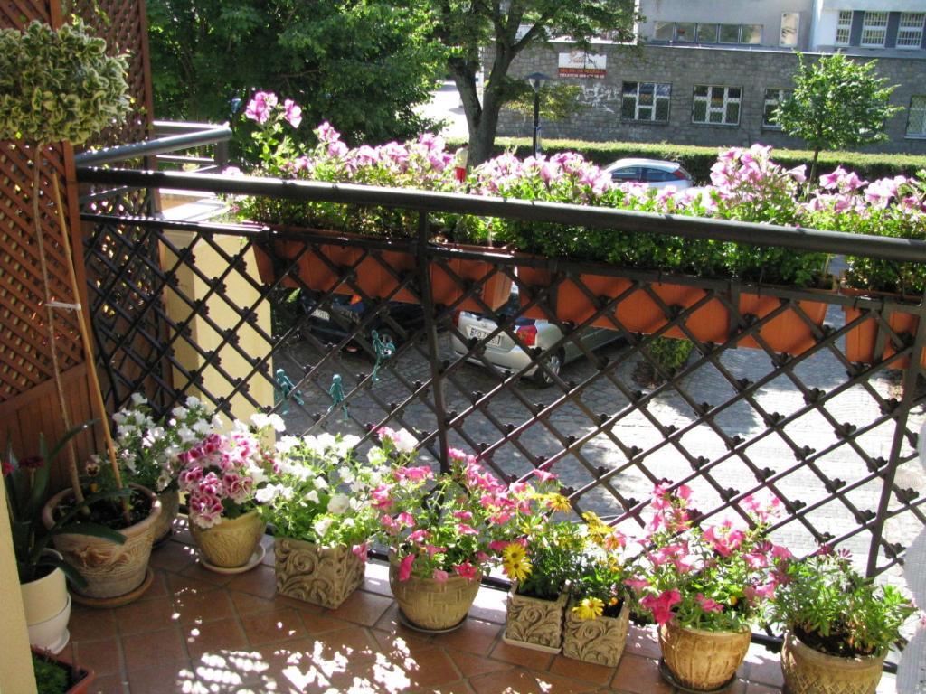 Apartmán Patio Mare Amber Sopoty Exteriér fotografie