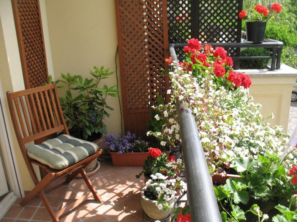 Apartmán Patio Mare Amber Sopoty Exteriér fotografie